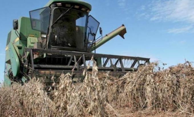 La oferta de Paraguay: una sequía recortó en 1,5 millones de toneladas la cosecha de soja