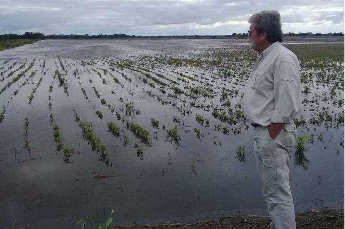Chaco: la desesperación de los productores otra vez con sus campos inundados