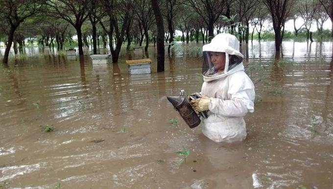 El drama de las inundaciones en Chaco: “Esperábamos la cosecha récord pero se fue todo con el agua”