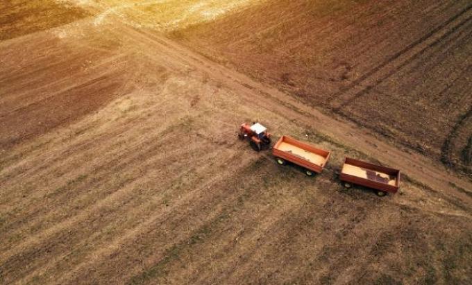 Soluciones innovadoras a cuatro problemas actuales del sector agropecuario