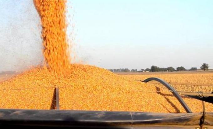 Reutilizar el agua: una oportunidad ante los retos de la agricultura.
