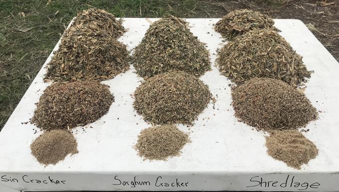 Presentaron el primer sorgo doble propósito igrowthth del mundo