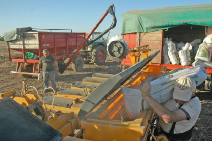Afirman que la suba de tasas a la importación encarecerá insumos del agro.