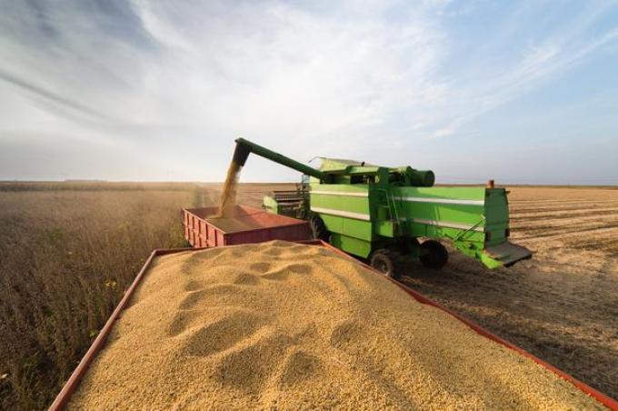 Qué dice el documento sobre la situación del campo que la Rural hizo para el FMI.