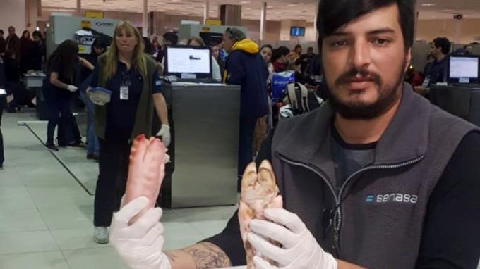 Insólito: en pleno brote asiático de la peste porcina africana un ciudadano chino intentó ingresar a la Argentina una valija con seis patas de cerdo