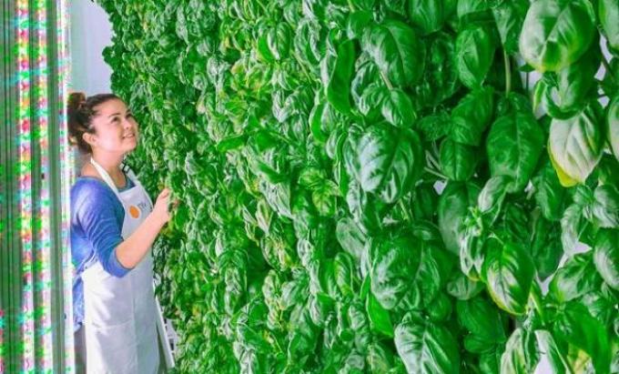 Los alimentos del futuro según el mayor fondo de inversión del mundo
