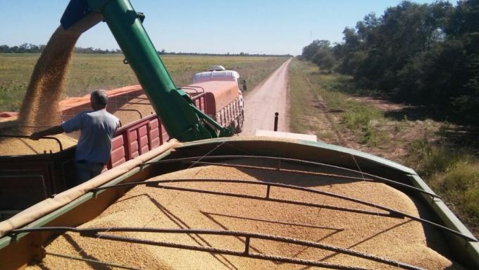 La molienda de soja fue la única actividad industrial que no cayó en abril