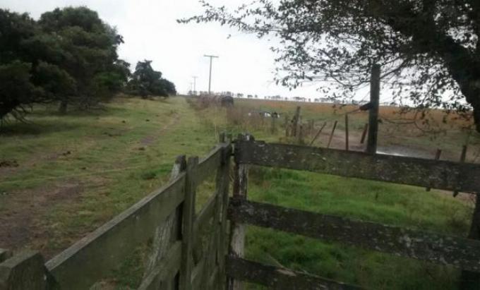 Buenos Aires y La Pampa son las provincias con mayores chances de recibir lluvias