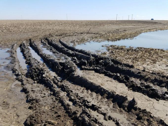 Los productores estadounidenses inundados cuentan con un seguro subsidiado que garantiza un ingreso mínimo: cómo funciona