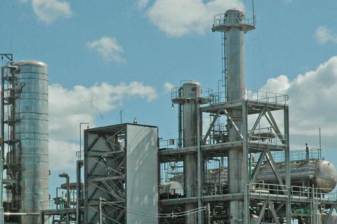 Biodiésel: a fin de septiembre se develará si se reabre el mercado de EE.UU.