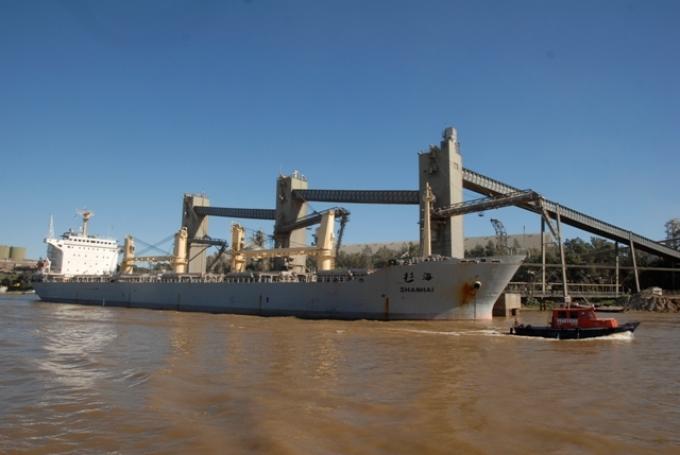 Primarización: aumentó en casi doce puntos la participación del poroto de soja sin procesar en la matriz exportadora argentina