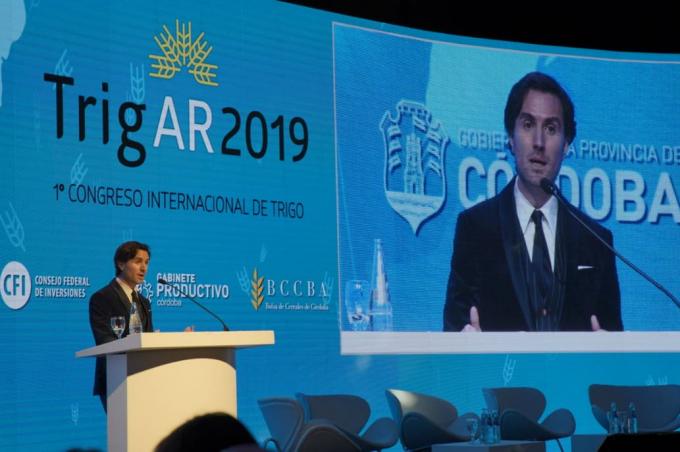 Impulsan un instituto de promoción del trigo para ganar nuevos mercados