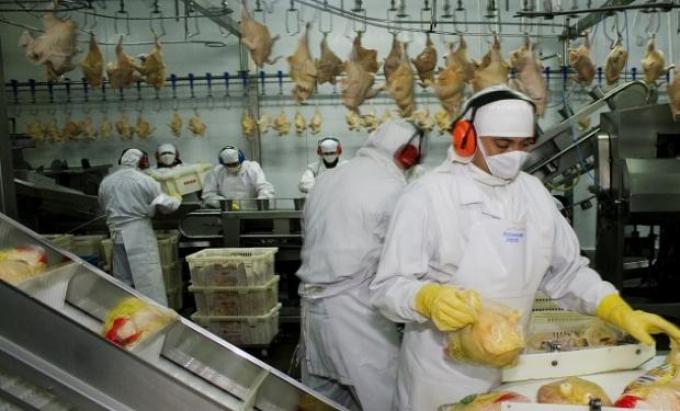 Producción avícola: actualizan requisitos sanitarios para exportar a China