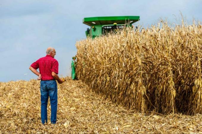 Cómo actúa una "potenciadora" que busca impulsar la innovación en el agro.