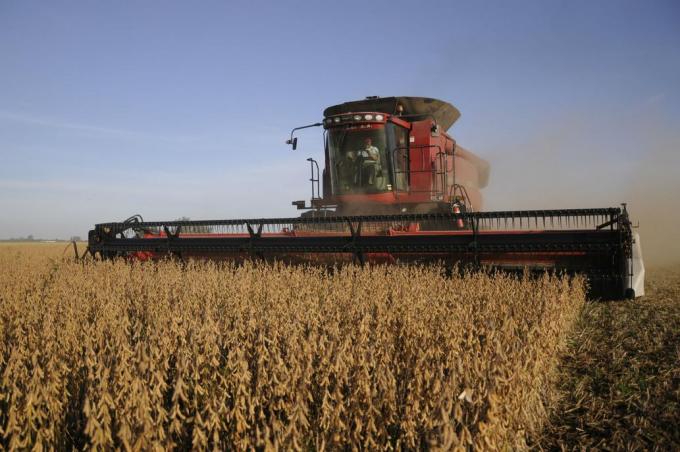 En el último año el principal generador de empleo en la Argentina fue el Estado: el agro se ubicó en segundo lugar