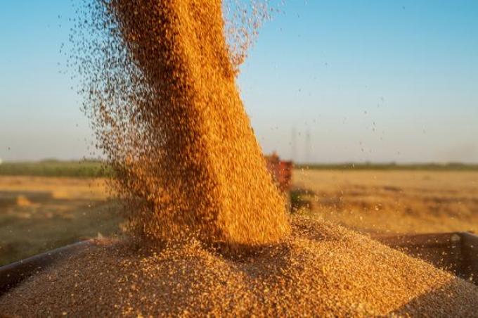 Primer fondo común de inversión para el agro: cuál es el monto mínimo para ingresar