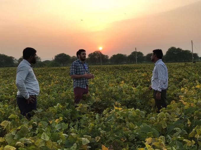 Argentina abrirá una Agregaduría Agrícola en India