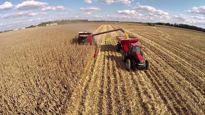 La producción parcial acumulada de maíz es de 28 millones de toneladas luego de cosecharse el 53,1 % del área apta