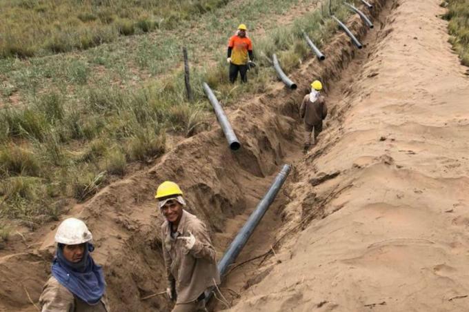 Más allá del vino: acueductos para las vacas, la otra gran apuesta de Mendoza para crecer