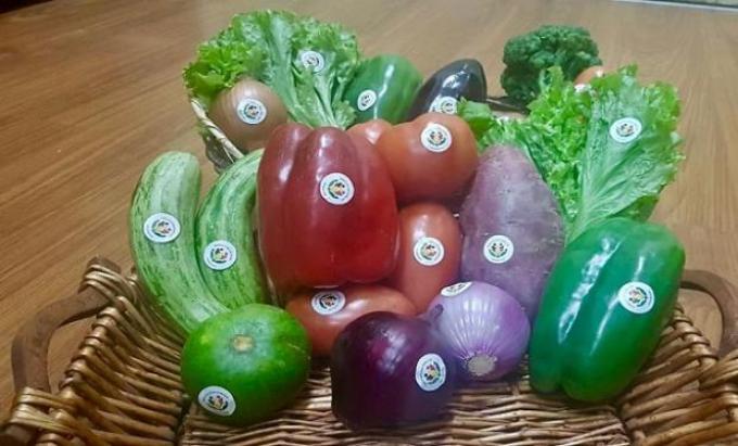Se otorgó el primer sello "Producido por la Agricultura Familiar" a hortalizas mendocinas