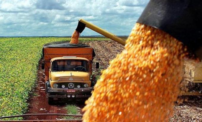 Las ventas de maíz 2019/2020 evidencian un aumento interanual del 153,8%.