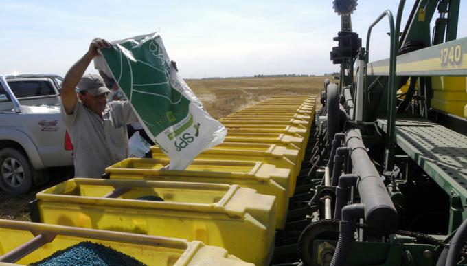 Gracias al SISA el Inase ahora cuenta con una súper base de datos para detectar a productores que siembran semilla ilegal: cómo funciona