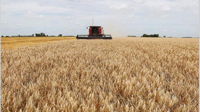Las lluvias de julio ponen a la región en camino de producir la tercera parte del trigo argentino