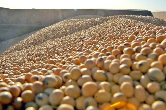 Se agravó la guerra comercial entre Estados Unidos y China, pero aumentó el valor de la soja argentina