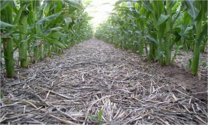 Comienza el XXVII Congreso Aapresid con el suelo como protagonista