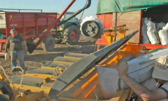Devaluación: cautela y dudas en el mercado de insumos para el campo