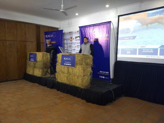 Gracias a la inestabilidad económica llegó el aguinaldo para los criadores: explotaron los precios de la vaca gorda