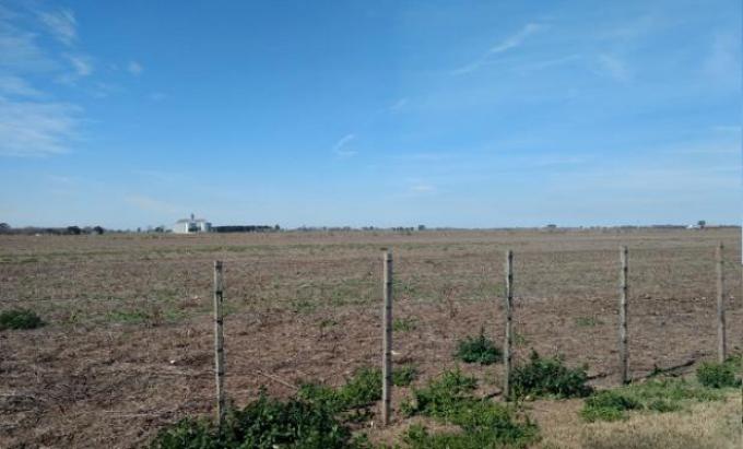 Continúa el frío y la ausencia de lluvias en la zona núcleo