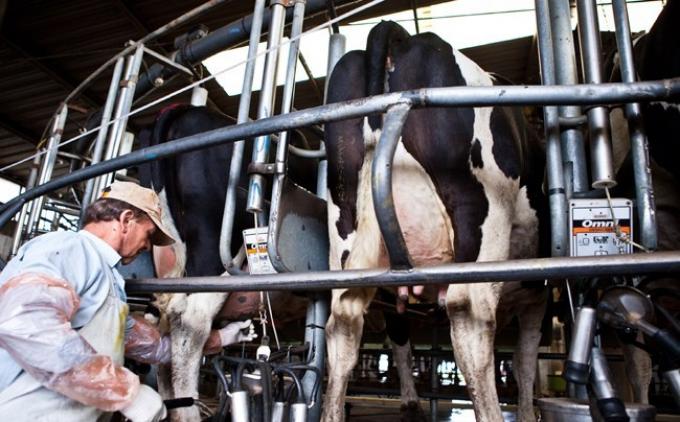 La Mesa de Lechería avanzó en buenas prácticas para el sector