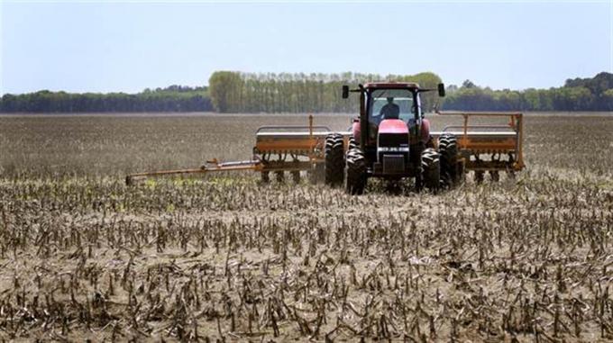 Más del 65% de los ingresos por exportación fueron por el sector agropecuario.