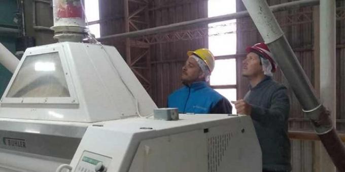 Continúan los operativos para blanquear el volumen de molienda 