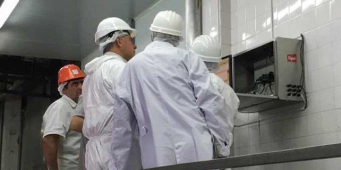 Amplán a la especie porcina los controles de las cajas negras 