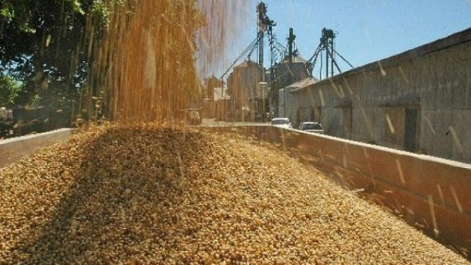El crushing de soja se afirma en Julio logrando su mejor marca desde 2015