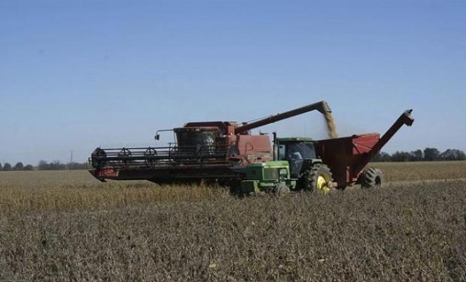 Buenos Aires: creció un 59% la comercialización de granos