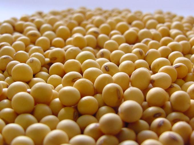 Distribuidores de Insumos hicieron una propuesta para incentivar la semilla fiscalizada y fertilización