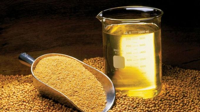 El problema de las aceiteras alejadas de los puertos de exportación