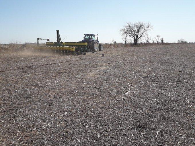 Siguen sin aparecer perspectivas de precipitaciones en las zonas agrícolas necesitadas de agua