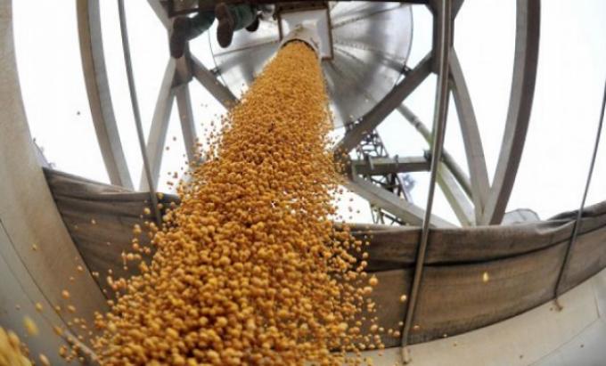 Cómo impactan las medidas del Gobierno sobre el mercado de granos local