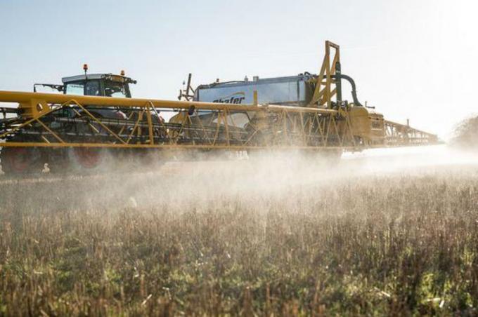 Pergamino: evalúan apelar una cautelar que limitó el uso de agroquímicos