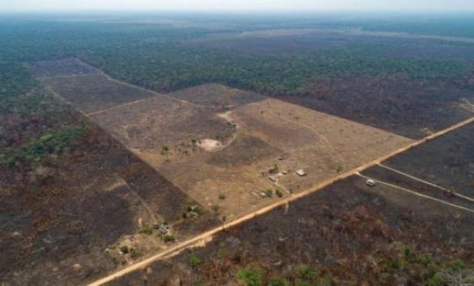 Cómo los incendios en la Amazonia pueden afectar al trigo de la Argentina