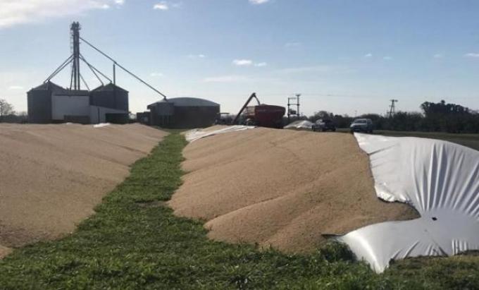 La respuesta del Gobierno frente a los ataques a silo bolsas