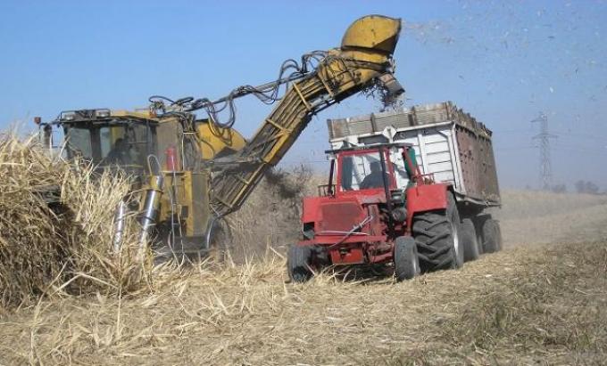 Presentaron un nuevo biocombustible a base de desechos de caña de azúcar