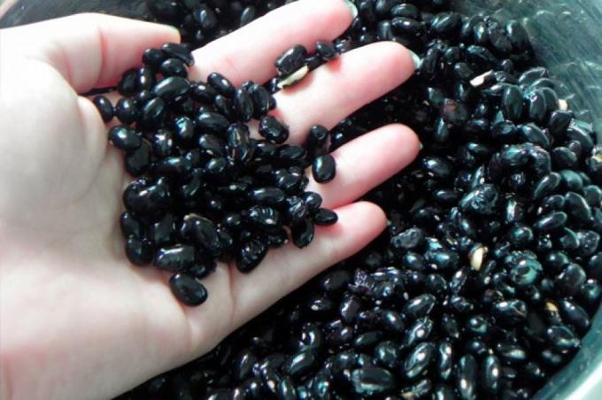 Poroto negro a Brasil: se realizó el primer trámite de exportación 100% Online
