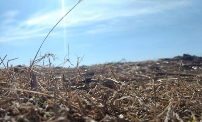 Se espera una primavera con clima neutral y sin sobresaltos para la zona núcleo