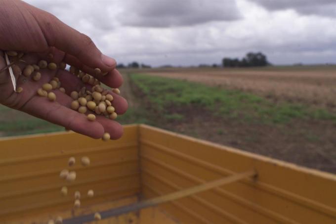 El arrendamiento agrícola es el más alto de las últimas siete campañas
