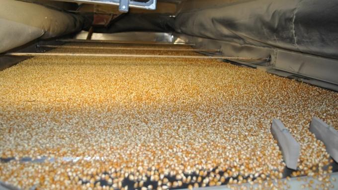Alivio: se desbloquean las exportaciones argentinas de especialidades agrícolas con el nuevo plazo máximo de 180 días para liquidar divisas